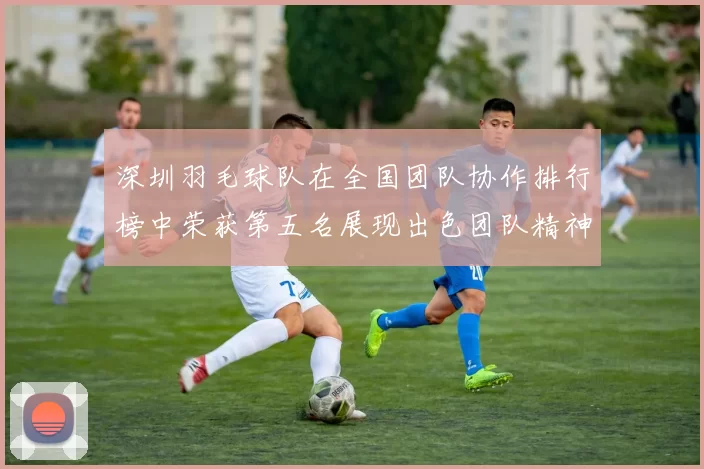 深圳羽毛球队在全国团队协作排行榜中荣获第五名展现出色团队精神与实力