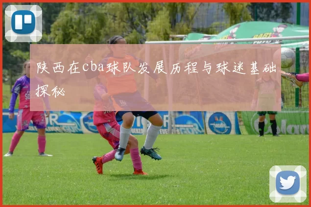 陕西在cba球队发展历程与球迷基础探秘