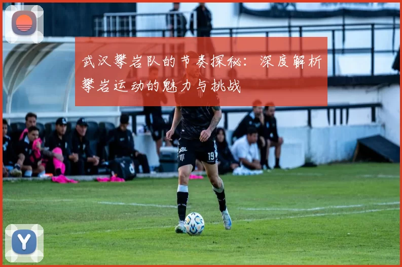 武汉攀岩队的节奏探秘：深度解析攀岩运动的魅力与挑战