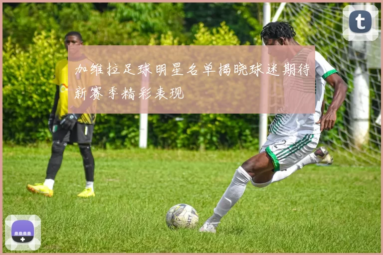 加维拉足球明星名单揭晓球迷期待新赛季精彩表现