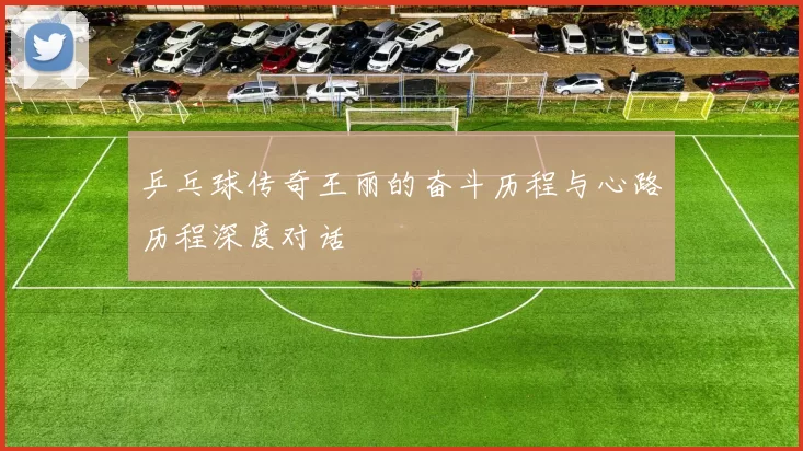 乒乓球传奇王丽的奋斗历程与心路历程深度对话