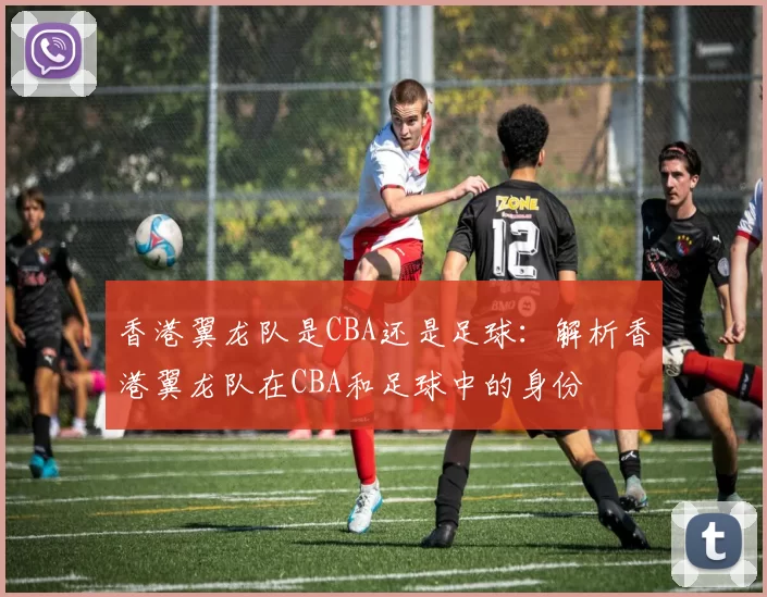 香港翼龙队是CBA还是足球：解析香港翼龙队在CBA和足球中的身份
