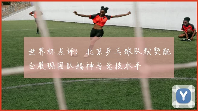 世界杯点评：北京乒乓球队默契配合展现团队精神与竞技水平