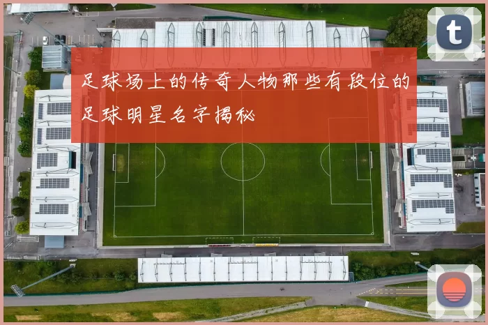 足球场上的传奇人物那些有段位的足球明星名字揭秘
