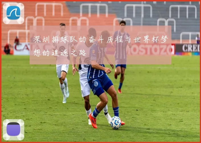 深圳排球队的奋斗历程与世界杯梦想的追逐之路
