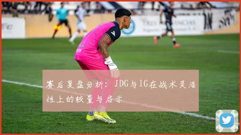 赛后复盘分析：JDG与IG在战术灵活性上的较量与启示