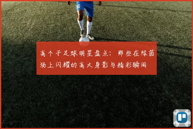 高个子足球明星盘点：那些在绿茵场上闪耀的高大身影与精彩瞬间