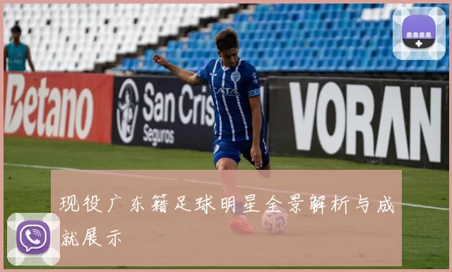 现役广东籍足球明星全景解析与成就展示