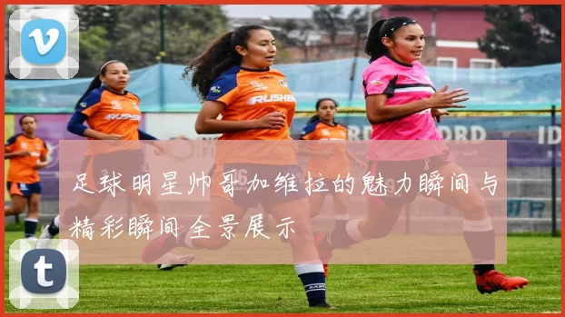 足球明星帅哥加维拉的魅力瞬间与精彩瞬间全景展示