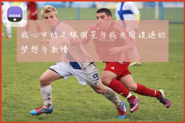 我心中的足球明星与我共同追逐的梦想与激情