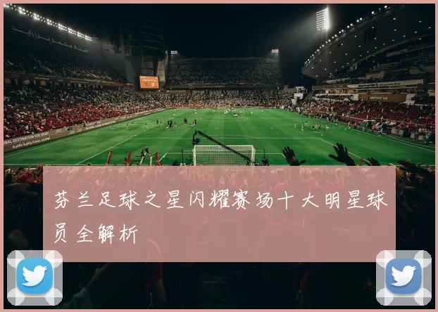 芬兰足球之星闪耀赛场十大明星球员全解析
