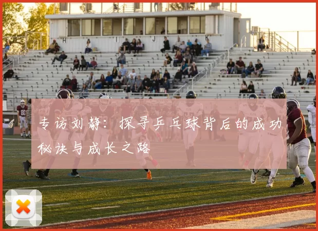 专访刘静：探寻乒乓球背后的成功秘诀与成长之路