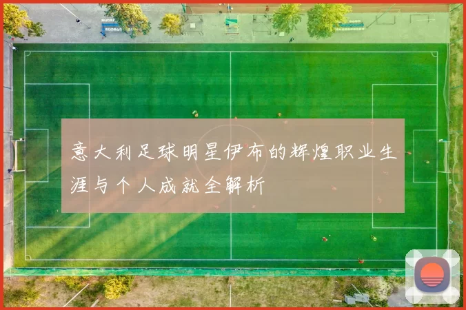 意大利足球明星伊布的辉煌职业生涯与个人成就全解析