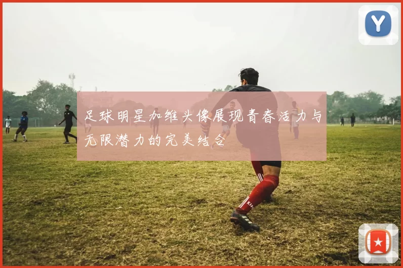 足球明星加维头像展现青春活力与无限潜力的完美结合
