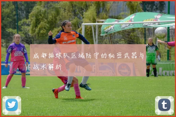 成都排球队区域防守的秘密武器与战术解析