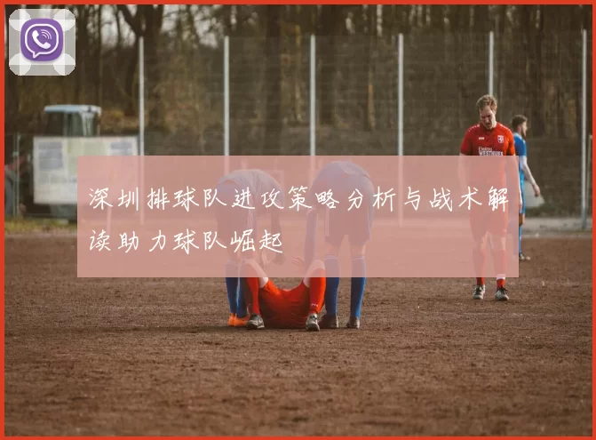 深圳排球队进攻策略分析与战术解读助力球队崛起