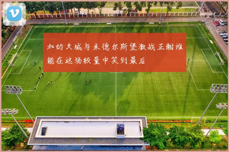 加的夫城与米德尔斯堡激战正酣谁能在这场较量中笑到最后