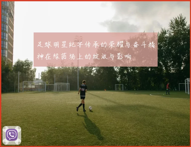足球明星纪字传承的荣耀与奋斗精神在绿茵场上的绽放与影响