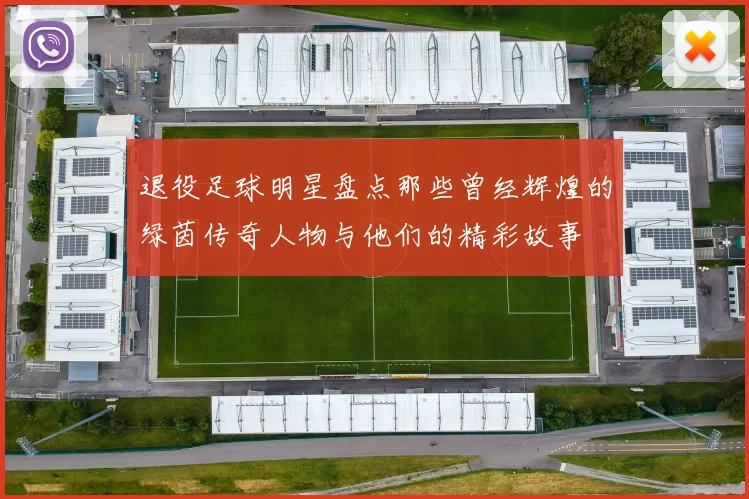 退役足球明星盘点那些曾经辉煌的绿茵传奇人物与他们的精彩故事